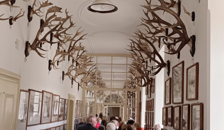 Zobraziť fotografiu