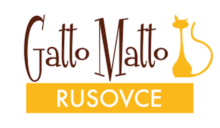 Fotka - Pracovná ponuka v Gatto Matto Rusovce