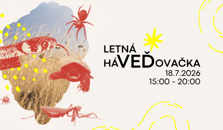 Fotka - Letná háVEĎovačka v Ekocentre Čunovo